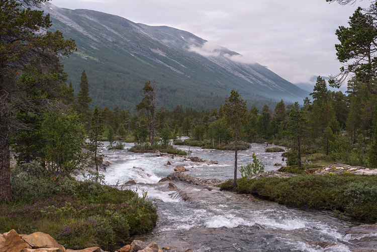 Near Sotaseter